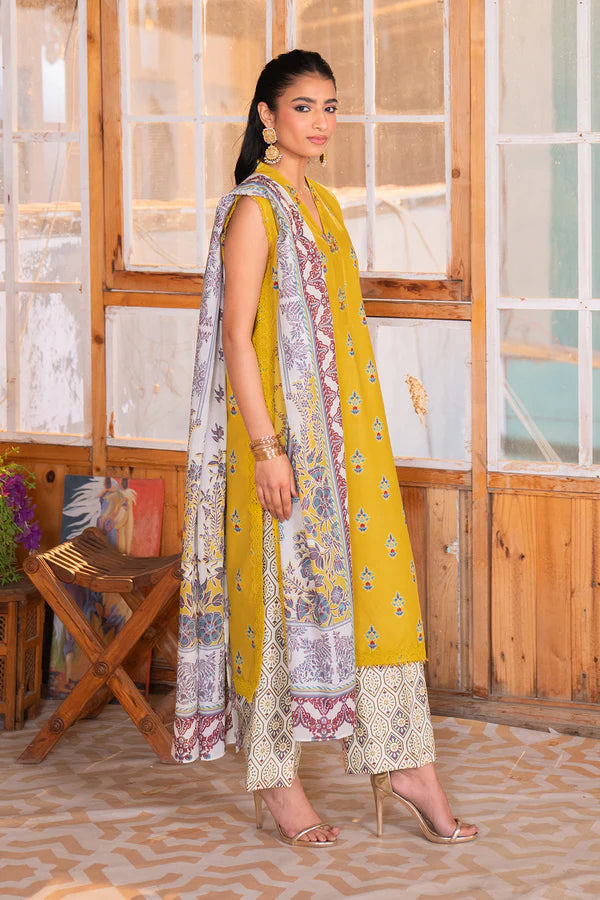Printed - 3 Pc Lawn Suit